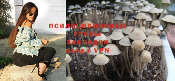 spice Арсеньев
