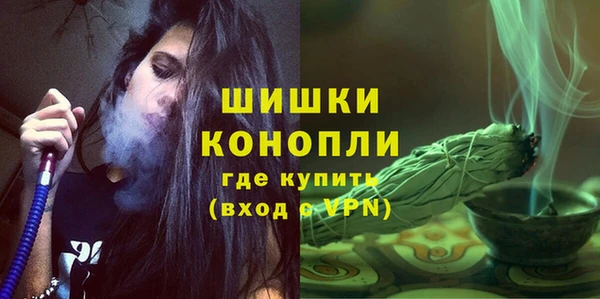 spice Арсеньев