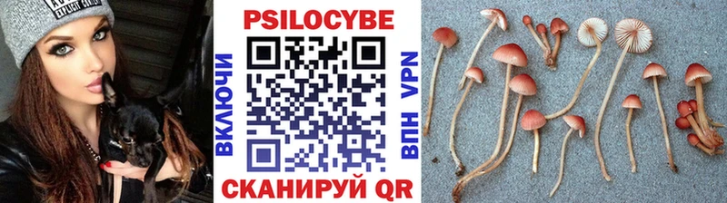 блэк спрут ONION  Сергач  Галлюциногенные грибы Psilocybine cubensis 