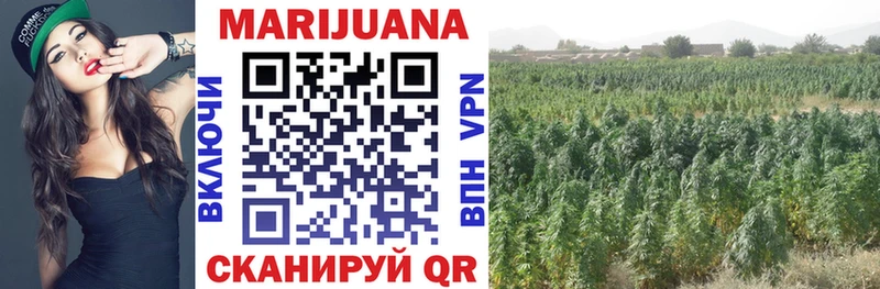 цены наркотик  Сергач  Марихуана SATIVA & INDICA 